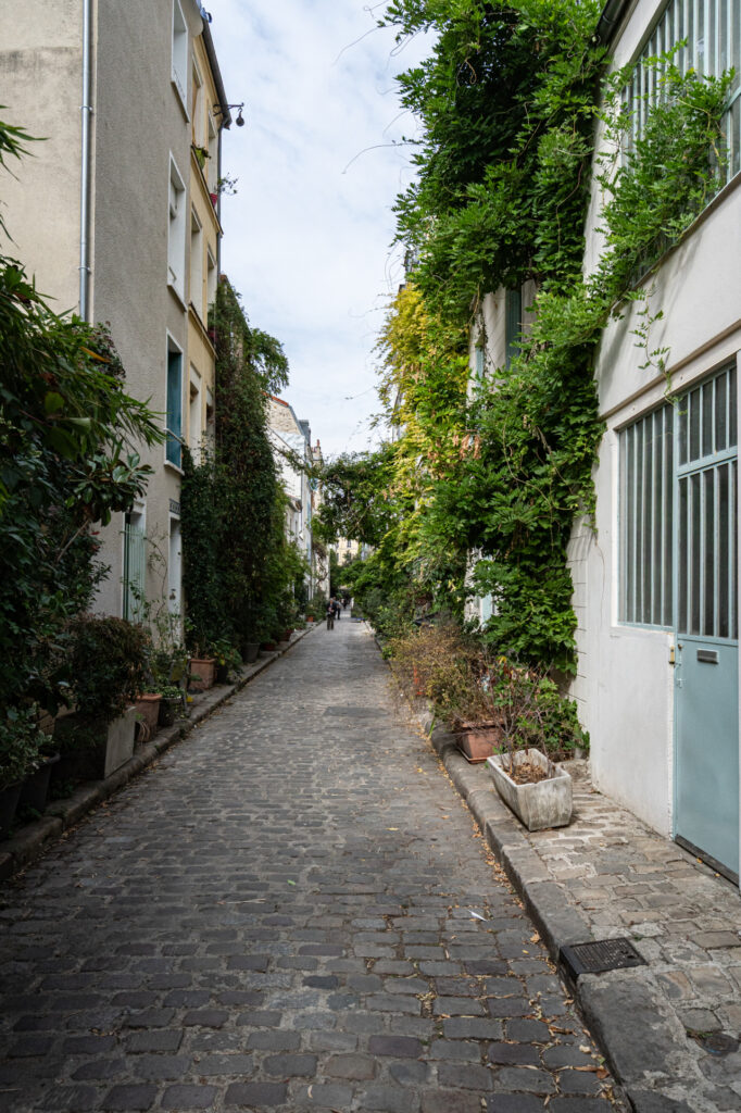 Vous